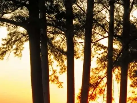 Terreno en Venta de 1954,0 m2