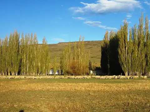 INMOBILIARIA COMODORO - Estancia Productiva próxima a Gobernador Gregores