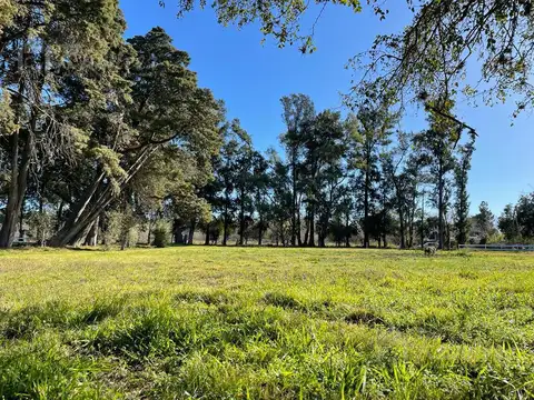 Enrique Larreta al 8300