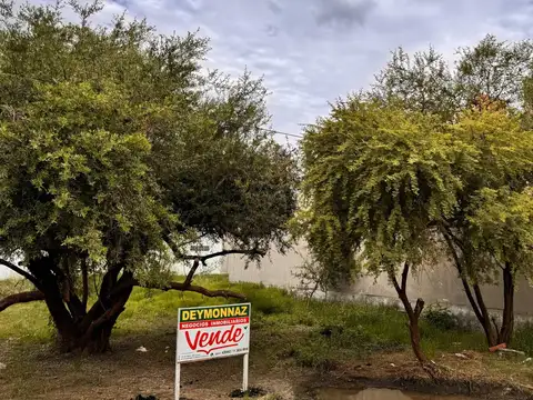 Terreno en Venta 10  mts Frente