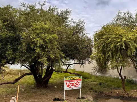 Terreno en Venta en Villa San Jose, USD 14.000