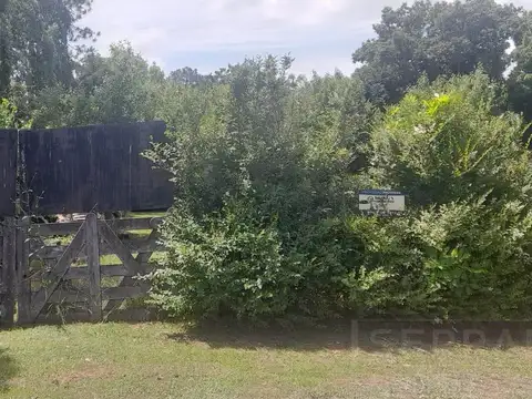 SDA Rubén Darío al 500