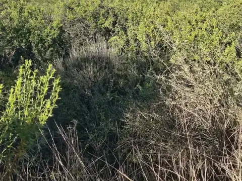 Terreno en Venta en Capilla del Monte, USD 99.500