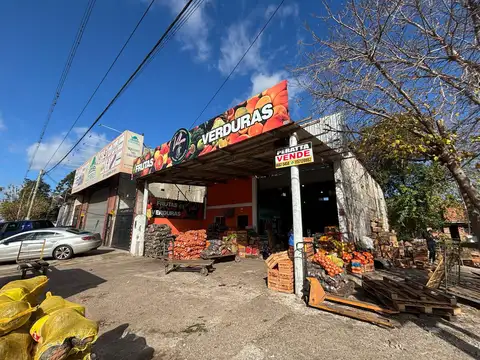 Galpon en Venta 13  mts Frente