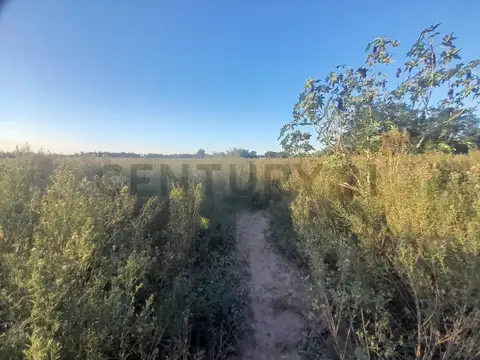 Paraje Lomas 200, Piso 0