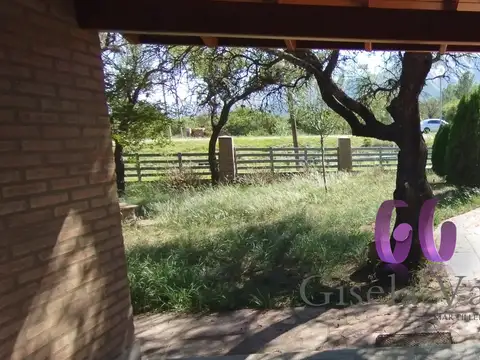 DOS INMUEBLES SOBRE RUTA - CORTADERAS - SAN LUIS