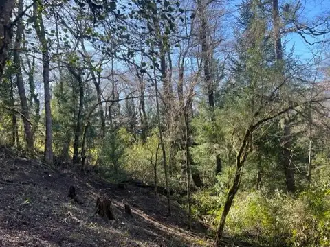 VENTA LOTE SAN MARTIN DE LOS ANDES. ALIHUEN ALTO