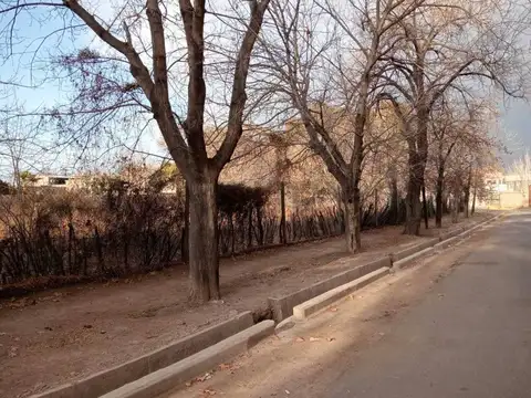 NICOLAS AVELLANEDA 3800, Piso 0