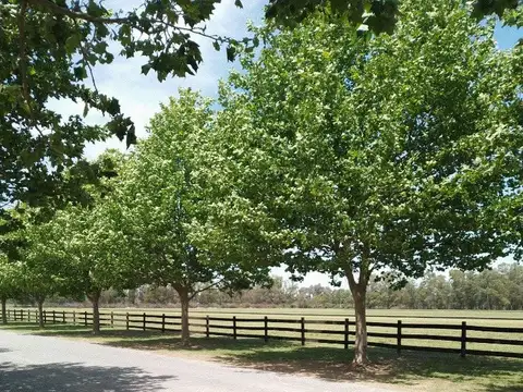 Terreno en Venta en Technopolo Club De Campo, USD 84.500