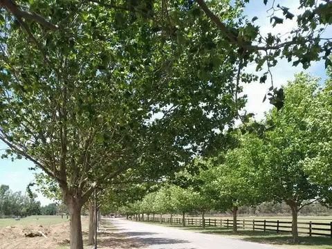 Terreno en Venta de 1530,0 m2