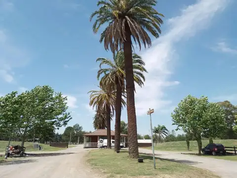 B° Technopolo. Cod: 11165