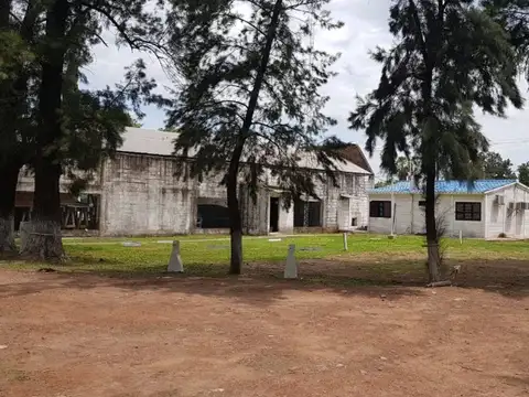 Galpon en Alquiler 50  mts Fondo