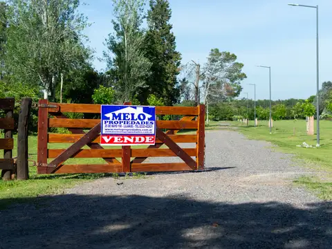 Ruben Torres 1450 1400