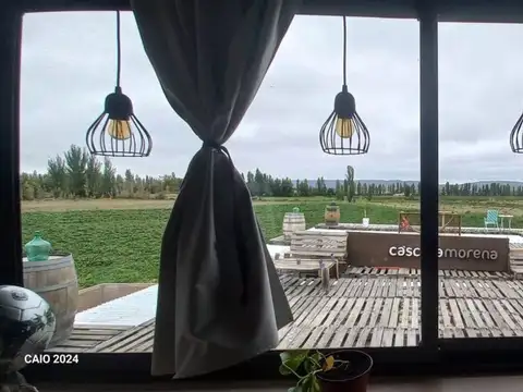 Local en Venta en Tupungato, USD 550.000