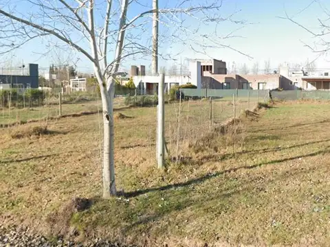 Jorge Luis Borges al 500