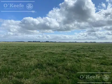 Magdalena 600 has - Campo en Venta