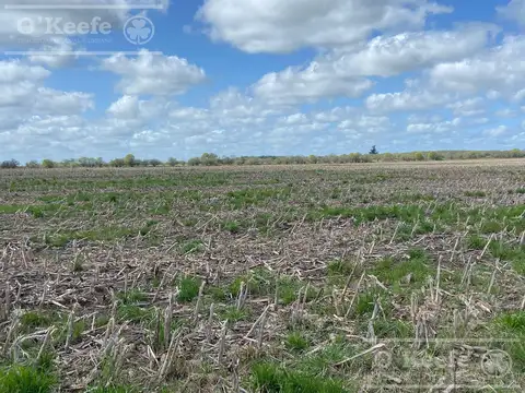 Magdalena 600 has - Campo en Venta