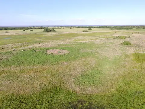 Magdalena 600 has - Campo en Venta