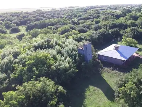 Magdalena 600 has - Campo en Venta