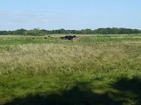 Magdalena 600 has - Campo en Venta