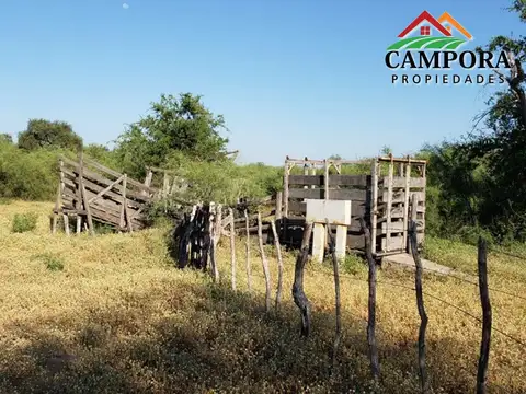 Campo en Venta Ganadero
