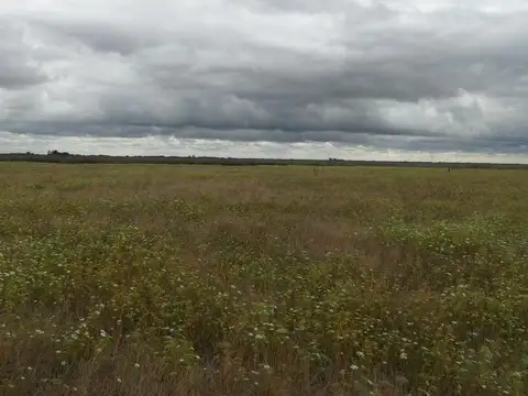 Campo en Venta Chacra