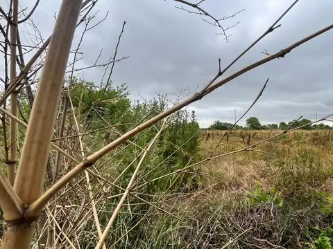 Del Caballito Blanco ý Juan B Justo