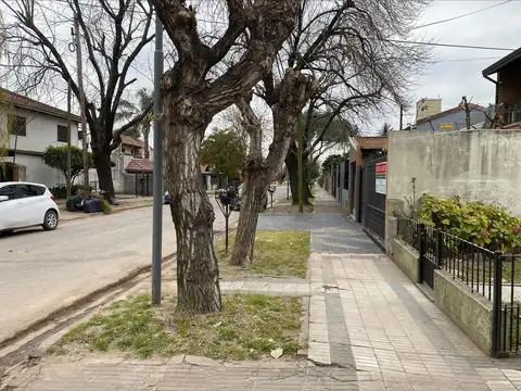 Martin Rodriguez al 1300