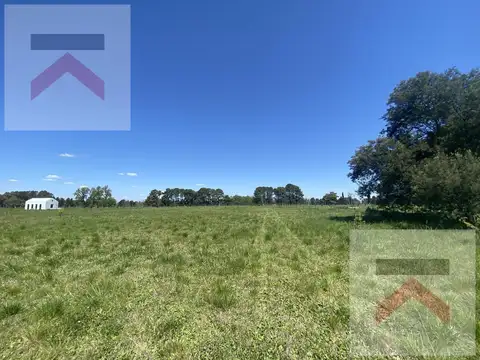 Terreno en Venta 145  mts Fondo