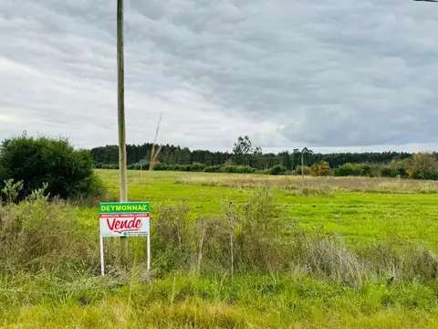 Parcela 1 Ha zona Acceso a Villa Elisa Entre Ríos