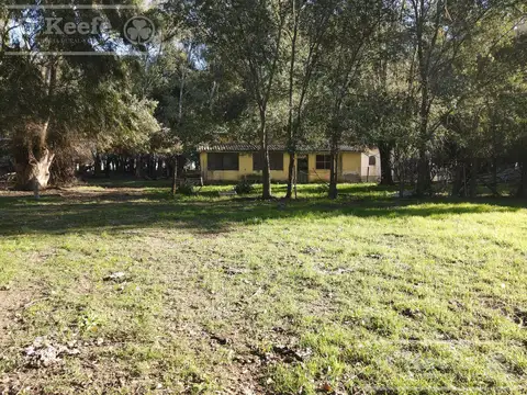 Campo ganadero en  venta 790 has  - Excelente rentabilidad - Olavarria