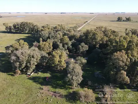 Campo ganadero en  venta 790 has  - Excelente rentabilidad - Olavarria