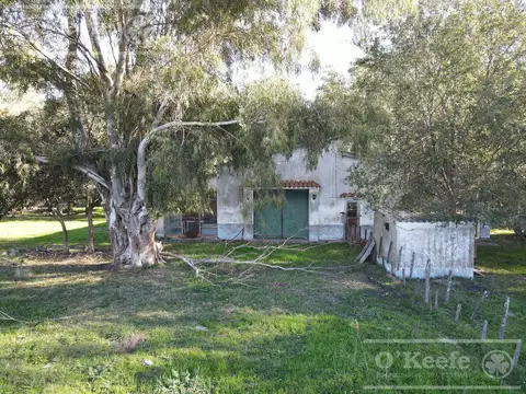 Campo ganadero en  venta 790 has  - Excelente rentabilidad - Olavarria