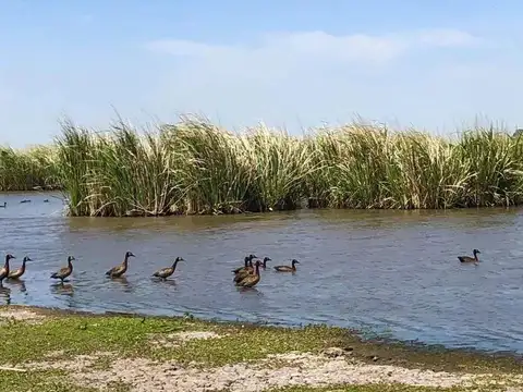 Terreno en venta - 1000Mts2 - Coronel Brandsen - Campos de la Enriqueta