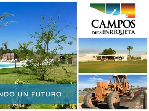 Campos de La Enriqueta