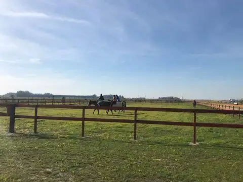 Terreno en Venta 50  mts Fondo