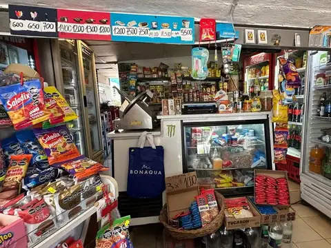 Miguel Potel Junot 6600