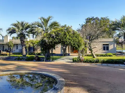 Ruta 104 Manantiales