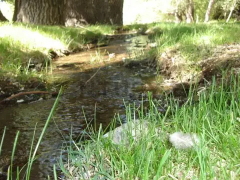 VENTA CAMPO BARILOCHE JACOBACCI - OVEJERO Y GANADERO