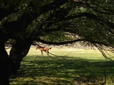 Campo en Venta de 1,39  ha