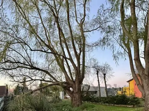 Terreno en Venta en Costa Del Este, USD 39.800