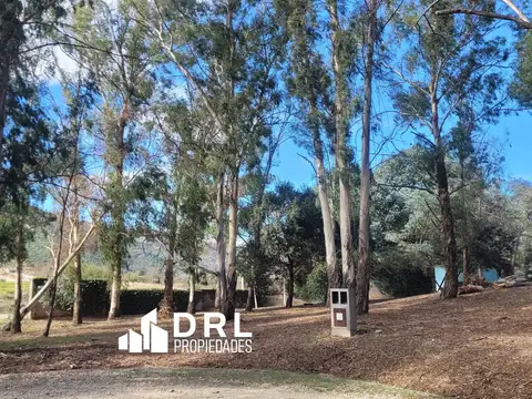 Terreno en  venta en Molvento