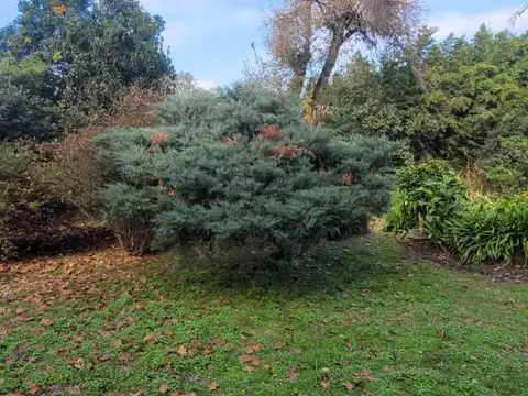 Virgen De Lujan 3500