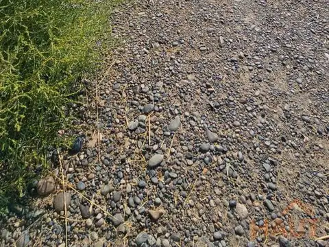 Se vende terreno en  Allen - La Agustina