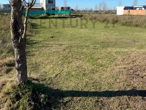 133 Entre 87 y 88 , Piso 0