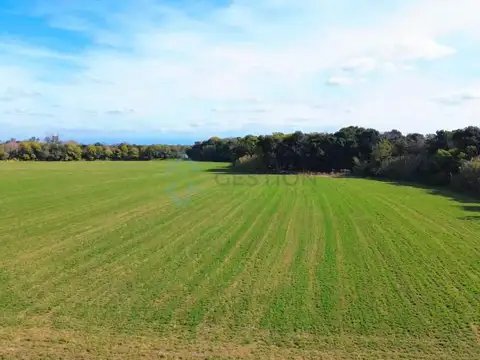 BERNANDO OHIGGINS al 8500