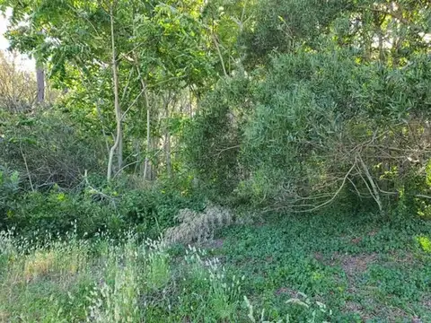 Terreno en Venta en Villa Gesell, USD 45.000