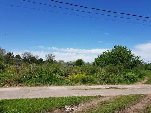 Av. Brig. Gral. Juan Manuel de Rosas 26900