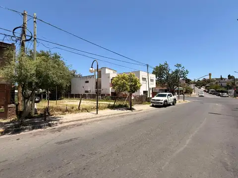 av bernando delia 100