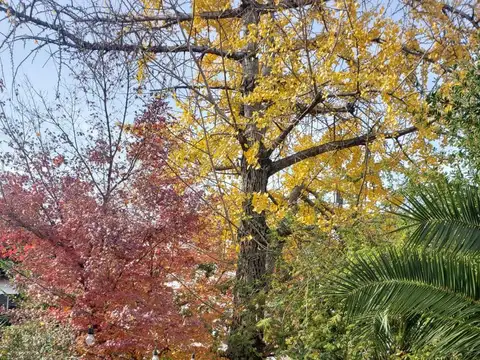 VENTA CASA 5 AMBIENTES CON JARDIN Y PARRILLA EN BARRIO RIVER - NUÑEZ